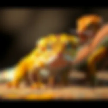 Insects for Leopard Geckos A variety of insects suitable for leopard geckos