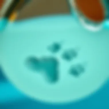 Dawn Dish Soap: A Potential Ally for Dog Allergies Close-up of Dawn dish soap with paw prints