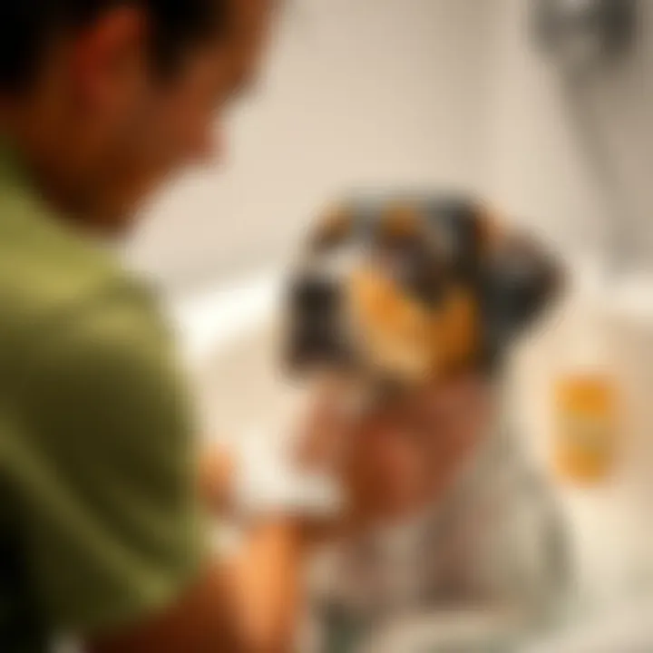 Bath Time: Enhancing Your Dog's Comfort Owner bathing a dog with gentle soap