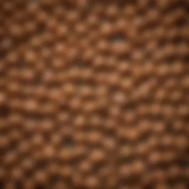 Texture and Composition of Victor Dog Food Close-up of Victor Dog Food showcasing its texture and composition