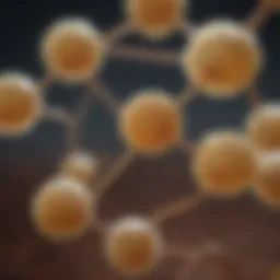 Choline Chloride molecular structure