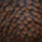 Close-up view of a wild turkey's feathers showcasing their intricate patterns.